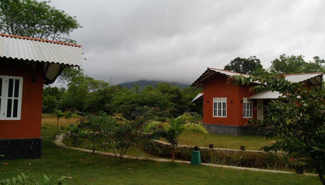Ritigala Lodge Хабарана Екстер'єр фото